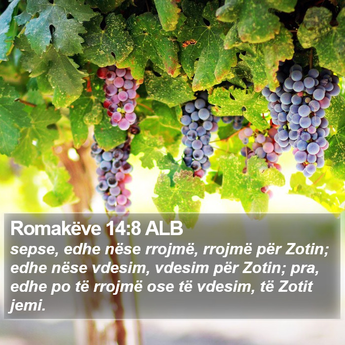 Romakëve 14:8 ALB Bible Study