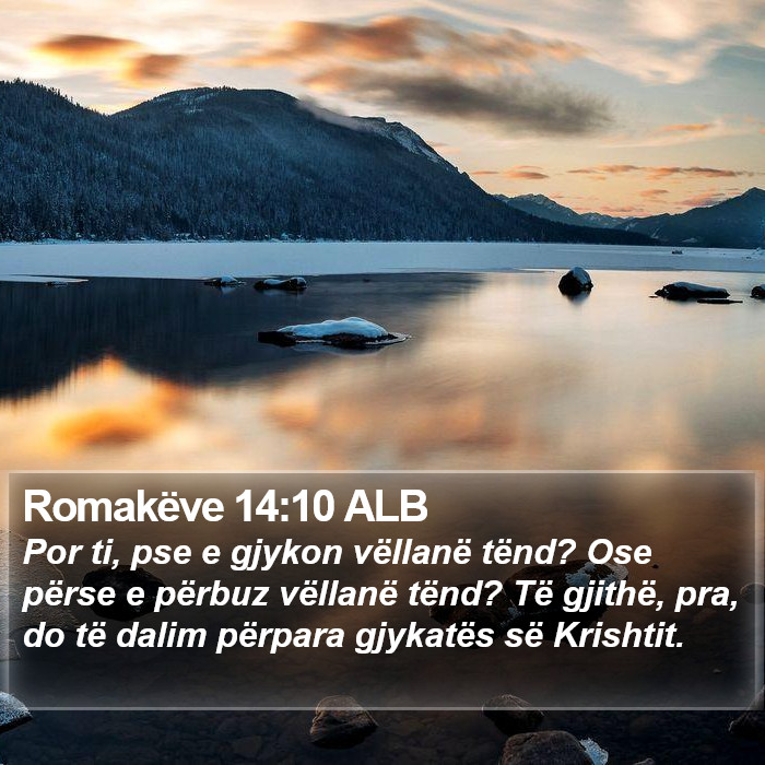 Romakëve 14:10 ALB Bible Study