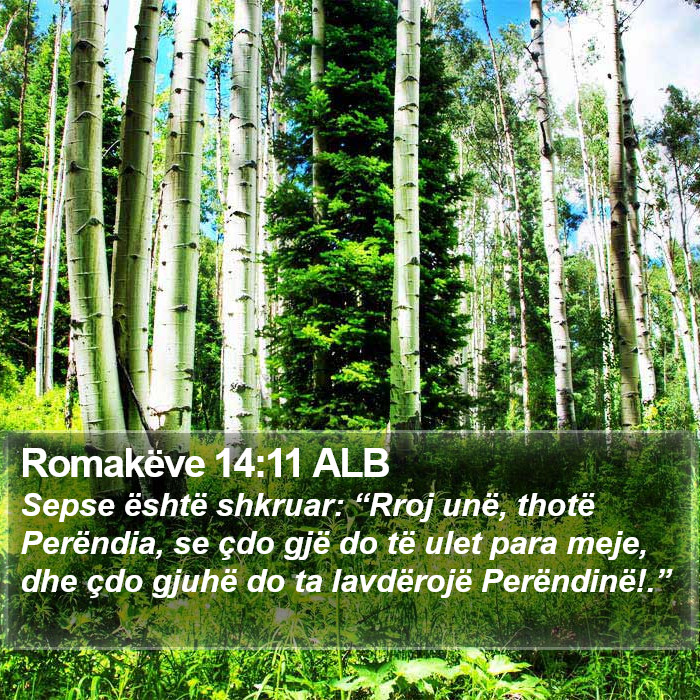 Romakëve 14:11 ALB Bible Study