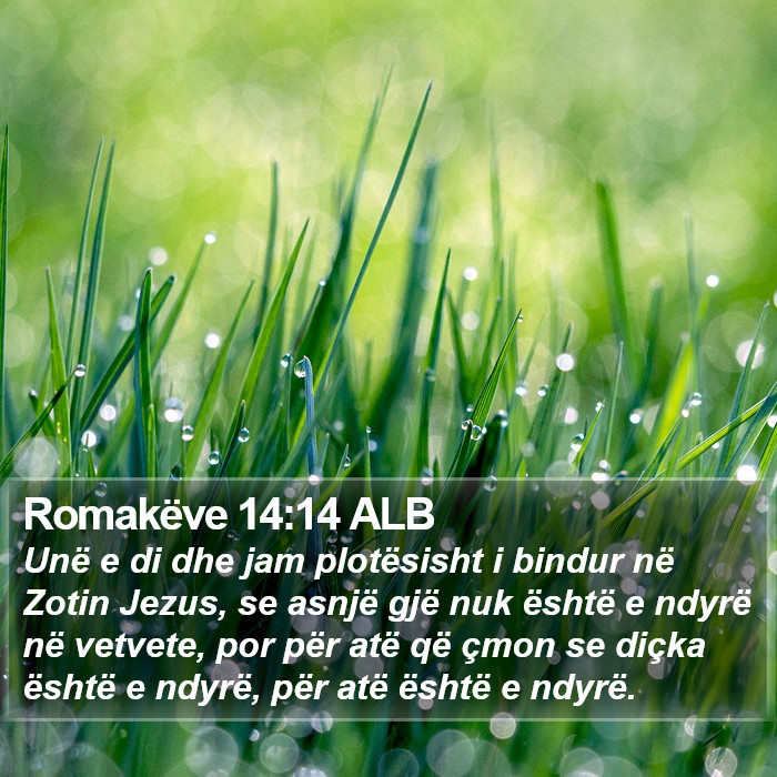 Romakëve 14:14 ALB Bible Study