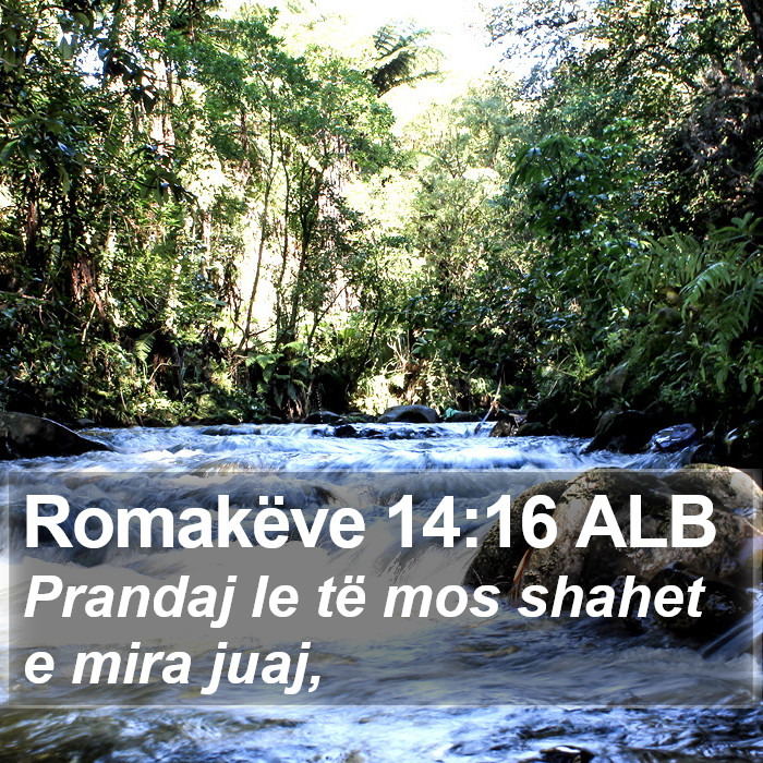 Romakëve 14:16 ALB Bible Study