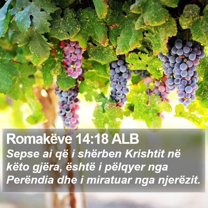 Romakëve 14:18 ALB Bible Study