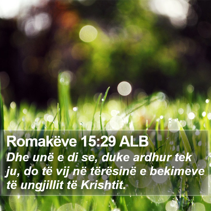 Romakëve 15:29 ALB Bible Study
