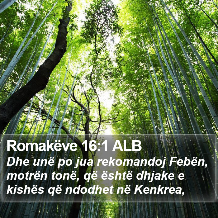 Romakëve 16:1 ALB Bible Study