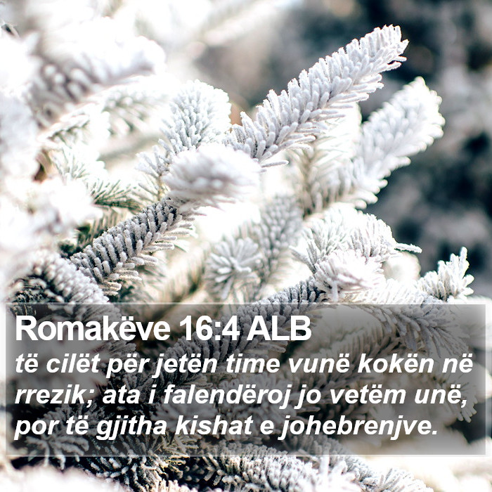 Romakëve 16:4 ALB Bible Study