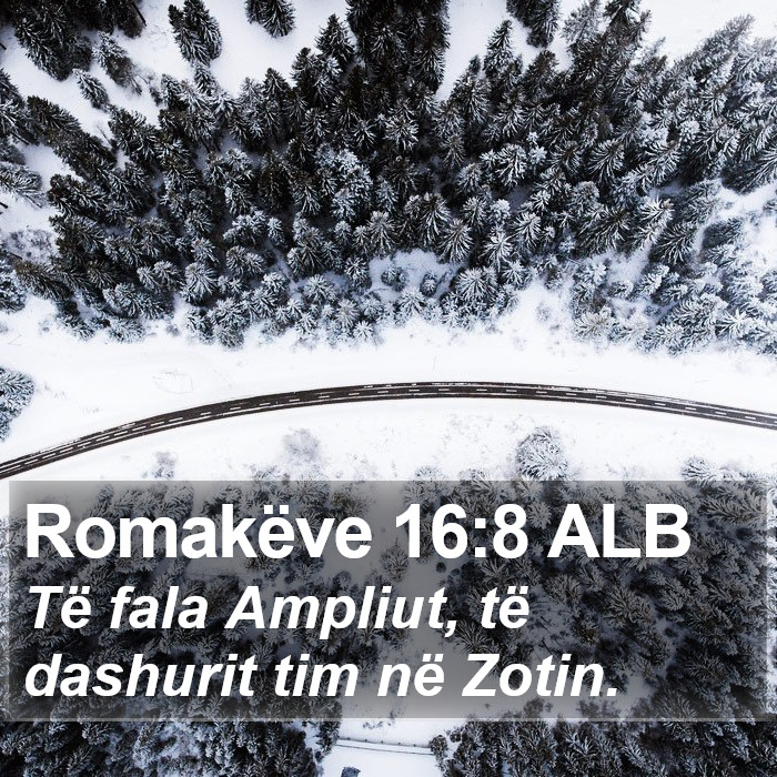 Romakëve 16:8 ALB Bible Study