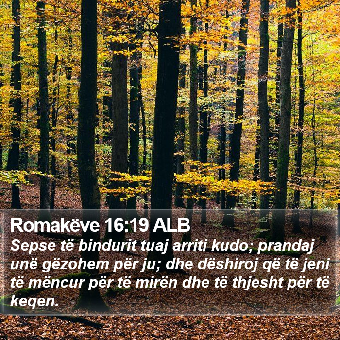 Romakëve 16:19 ALB Bible Study