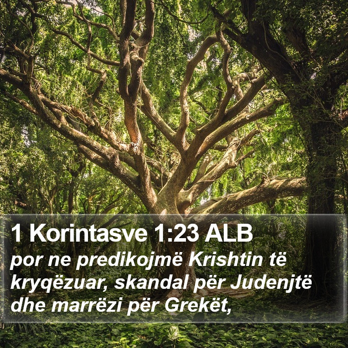 1 Korintasve 1:23 ALB Bible Study