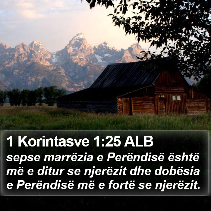 1 Korintasve 1:25 ALB Bible Study