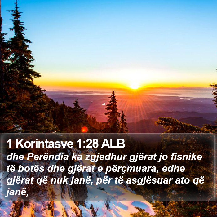 1 Korintasve 1:28 ALB Bible Study