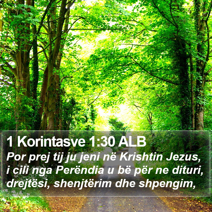 1 Korintasve 1:30 ALB Bible Study