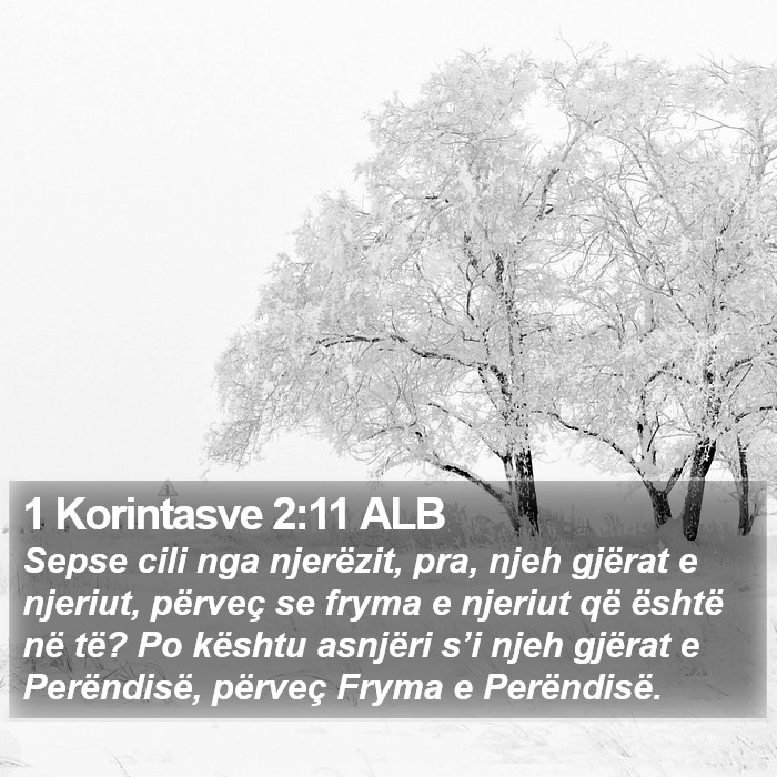 1 Korintasve 2:11 ALB Bible Study