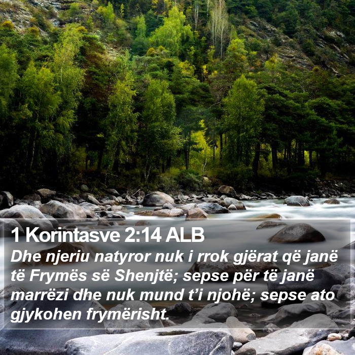 1 Korintasve 2:14 ALB Bible Study