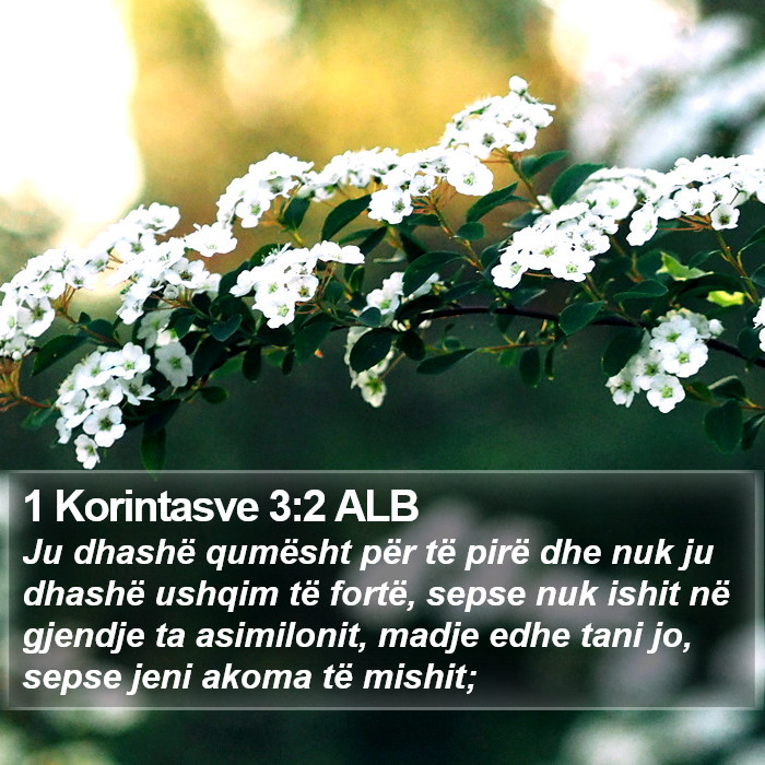 1 Korintasve 3:2 ALB Bible Study