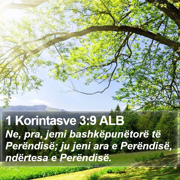 1 Korintasve 3:9 ALB Bible Study