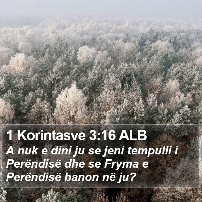 1 Korintasve 3:16 ALB Bible Study