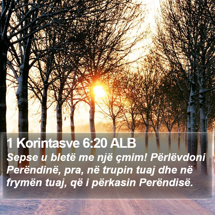 1 Korintasve 6:20 ALB Bible Study