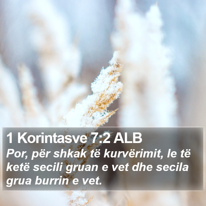 1 Korintasve 7:2 ALB Bible Study