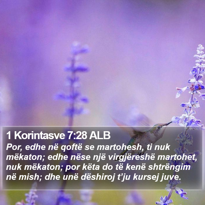 1 Korintasve 7:28 ALB Bible Study