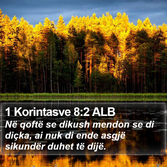 1 Korintasve 8:2 ALB Bible Study