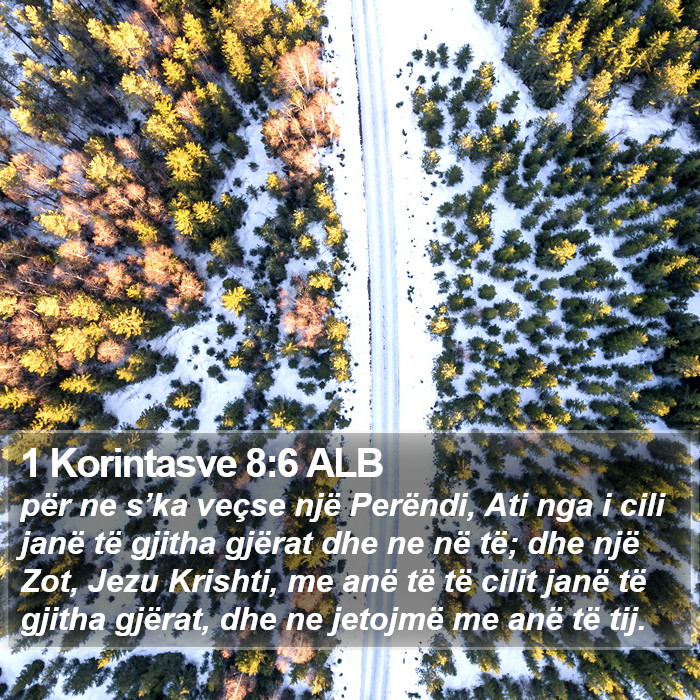 1 Korintasve 8:6 ALB Bible Study