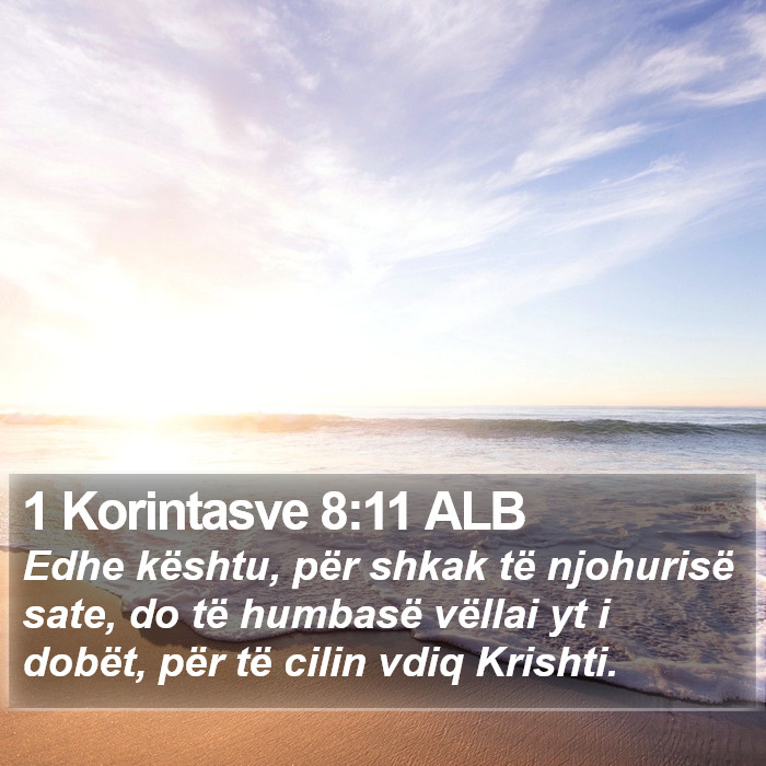 1 Korintasve 8:11 ALB Bible Study