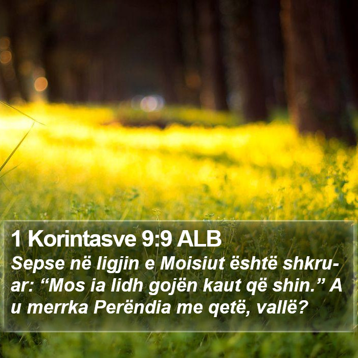 1 Korintasve 9:9 ALB Bible Study