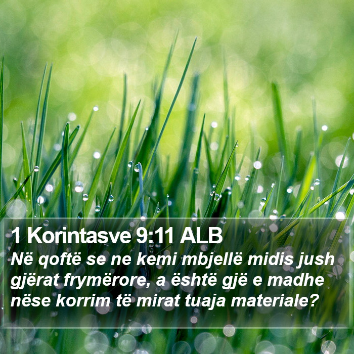 1 Korintasve 9:11 ALB Bible Study