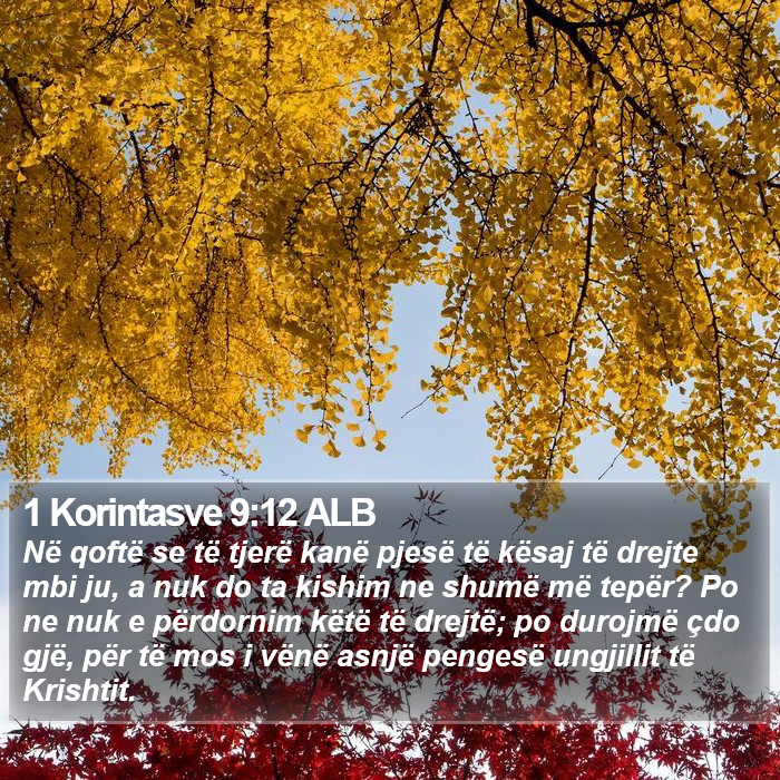 1 Korintasve 9:12 ALB Bible Study