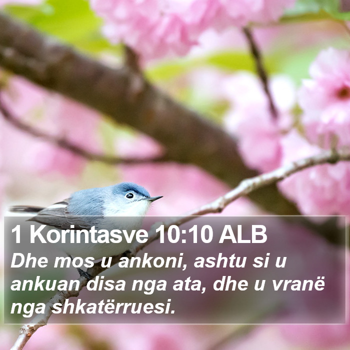 1 Korintasve 10:10 ALB Bible Study