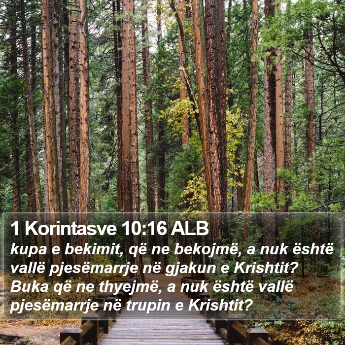 1 Korintasve 10:16 ALB Bible Study