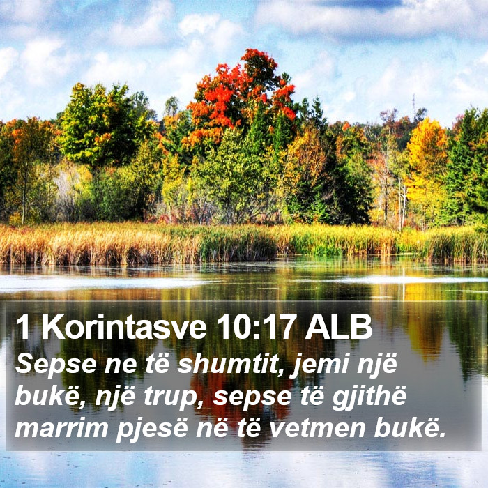 1 Korintasve 10:17 ALB Bible Study