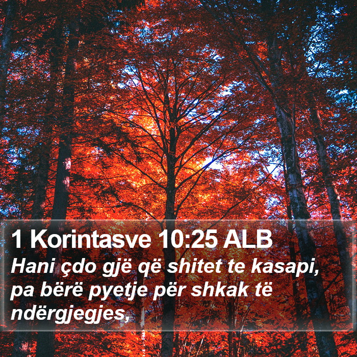 1 Korintasve 10:25 ALB Bible Study