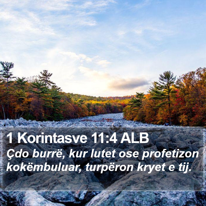 1 Korintasve 11:4 ALB Bible Study