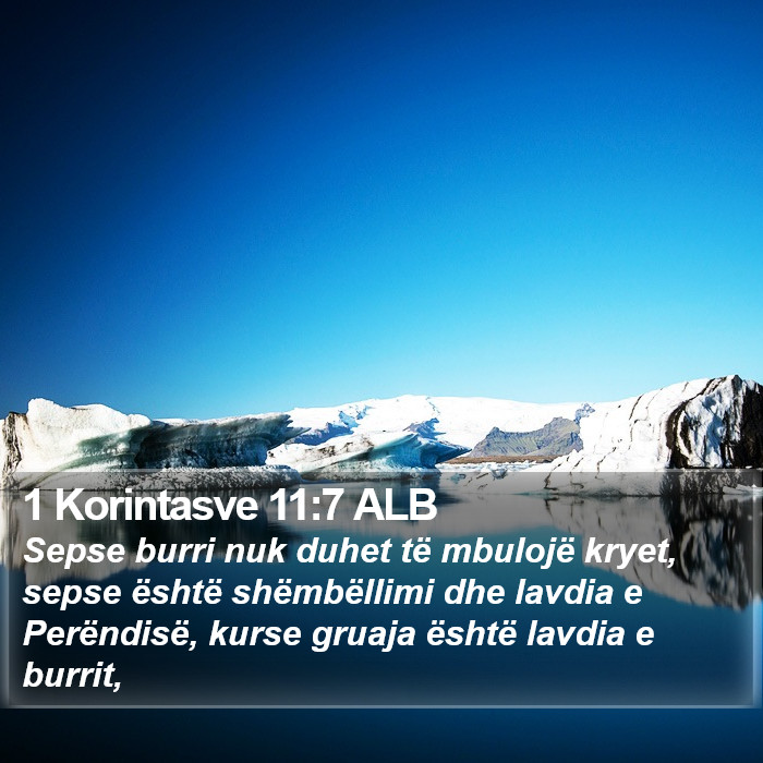 1 Korintasve 11:7 ALB Bible Study