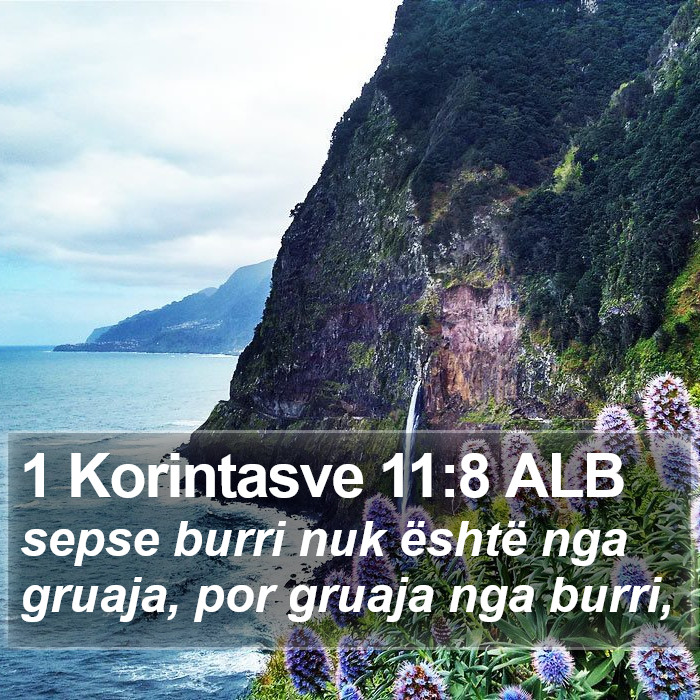 1 Korintasve 11:8 ALB Bible Study