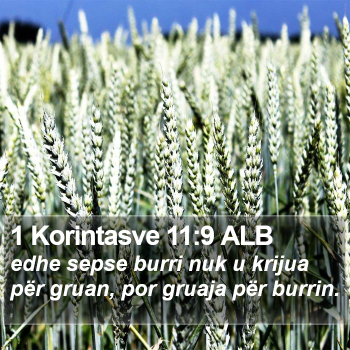 1 Korintasve 11:9 ALB Bible Study