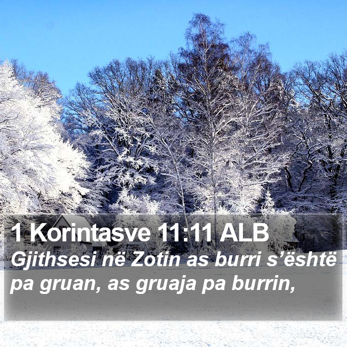 1 Korintasve 11:11 ALB Bible Study