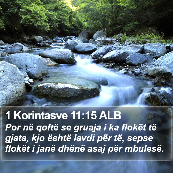 1 Korintasve 11:15 ALB Bible Study