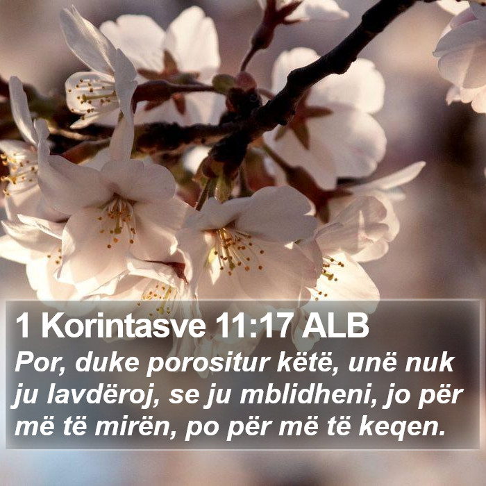 1 Korintasve 11:17 ALB Bible Study