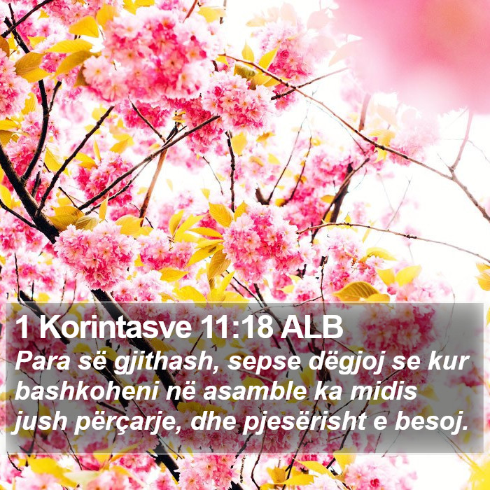 1 Korintasve 11:18 ALB Bible Study