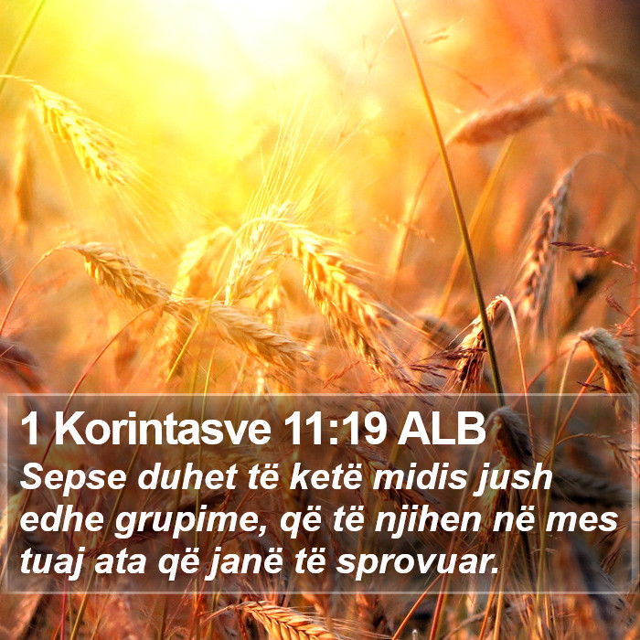 1 Korintasve 11:19 ALB Bible Study