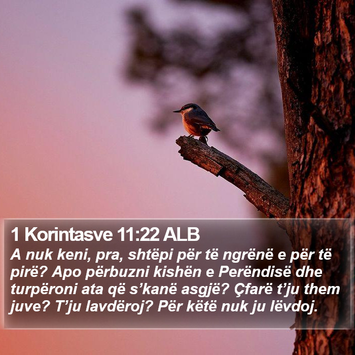 1 Korintasve 11:22 ALB Bible Study