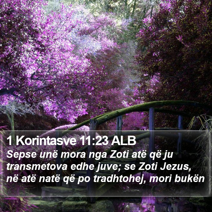 1 Korintasve 11:23 ALB Bible Study