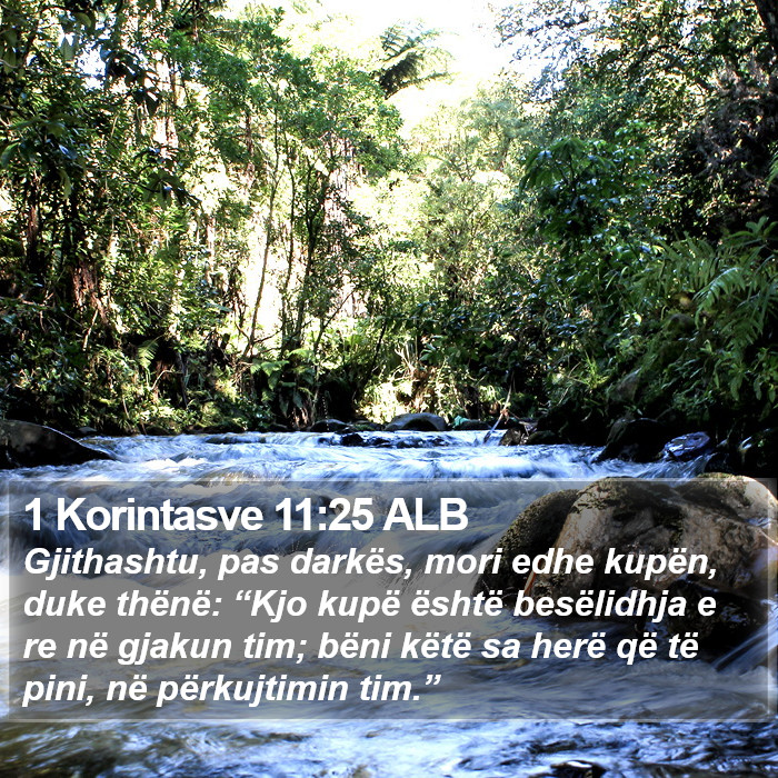 1 Korintasve 11:25 ALB Bible Study