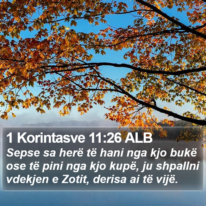 1 Korintasve 11:26 ALB Bible Study