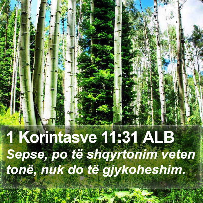 1 Korintasve 11:31 ALB Bible Study