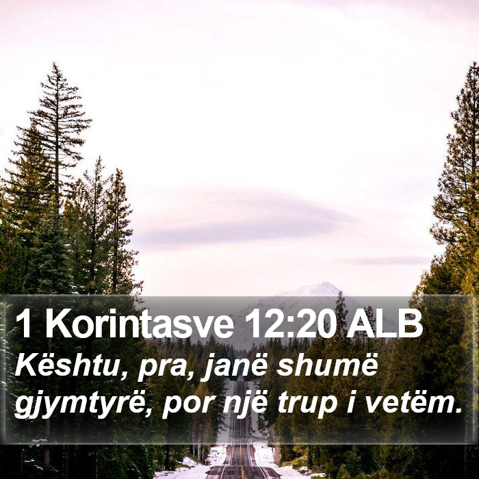 1 Korintasve 12:20 ALB Bible Study