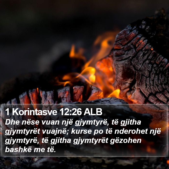 1 Korintasve 12:26 ALB Bible Study