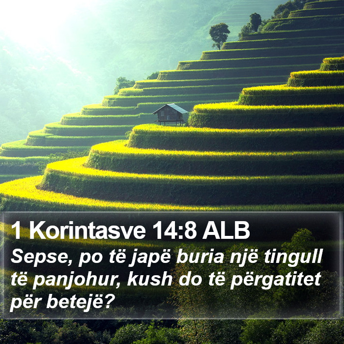 1 Korintasve 14:8 ALB Bible Study